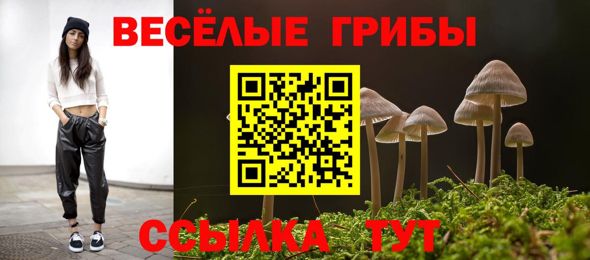 Волоколамск  Псилоцибиновые грибы MAGIC MUSHROOMS  Вход с VPN 